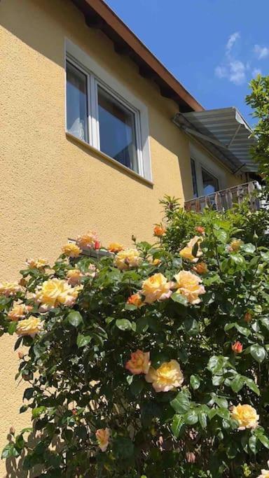 Duesseldorf Messe And Airport, 2-Bedroom Apartment With Kitchen And Garden Дуйсбург Екстер'єр фото