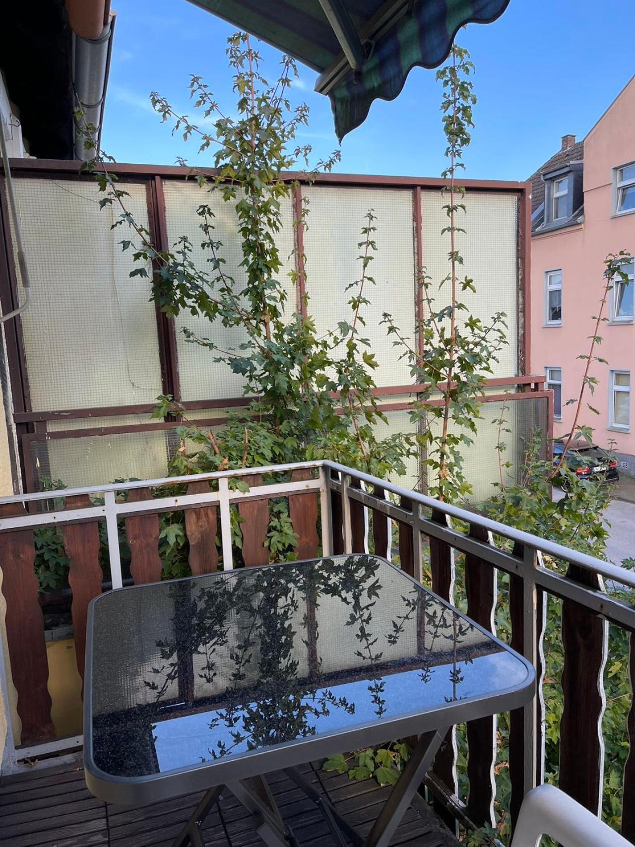 Duesseldorf Messe And Airport, 2-Bedroom Apartment With Kitchen And Garden Дуйсбург Екстер'єр фото